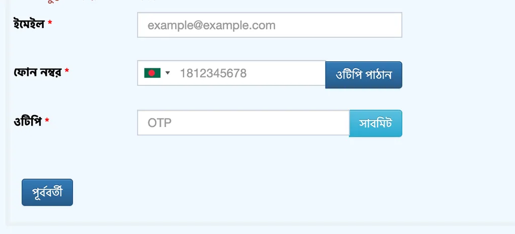 ইমেইল, ফোন নাম্বার এবং ওটিপি ভেরিফিকেশন পেজ